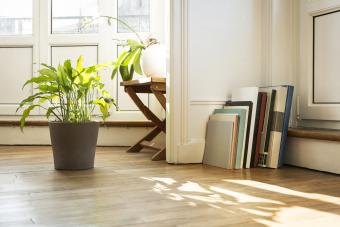 Salón con plantas