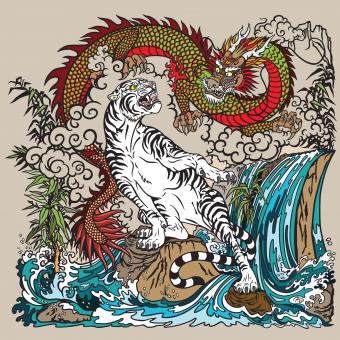 Dragón verde y tigre blanco