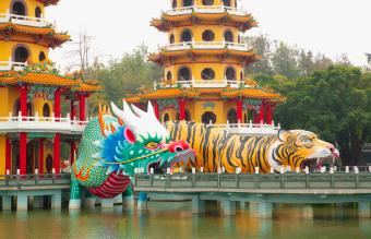 Dragón y tigre en el lago Lotus