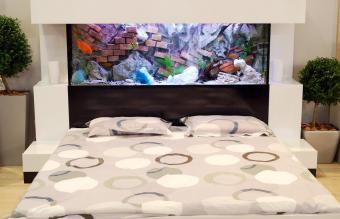 Dormitorio con acuario sobre cama
