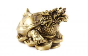 Tortuga del Dinero Cabeza de Dragón Dorado