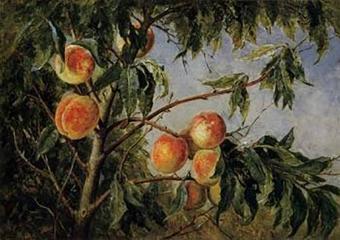 Arbol de melocotones sobre lienzo