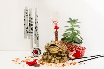 Rana del dinero en un ambiente feng shui