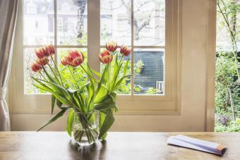 Tulipas en una mesa al lado de la ventana