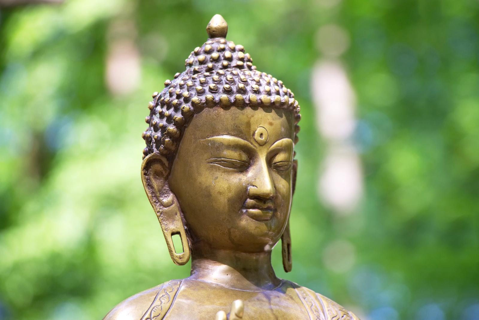 Head of statue Buddha