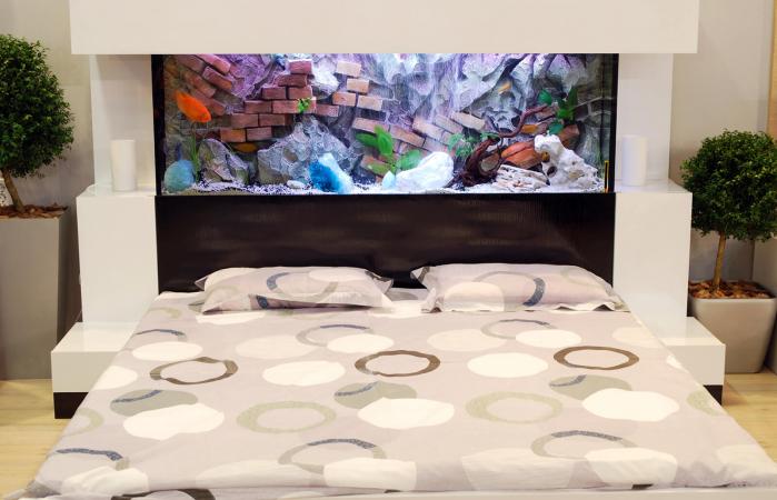Dormitorio con acuario sobre cama