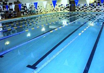 Lap Pool