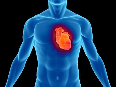 Heart_rate.jpg