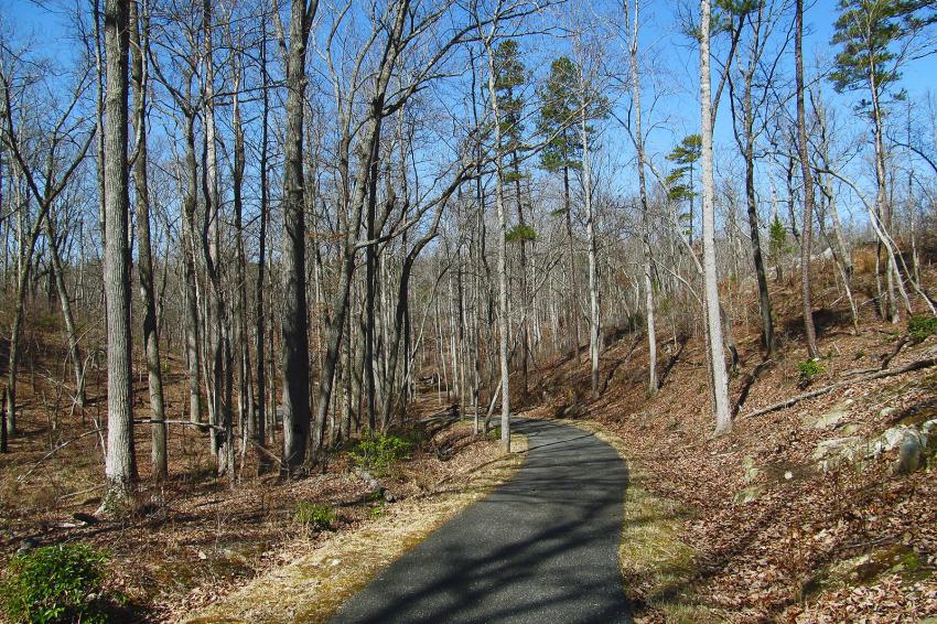 10 SC State Parks That May Be the Perfect Choice for Your Trip LoveToKnow