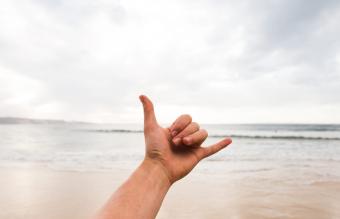 shaka sign against sky