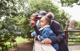family looking out to nature