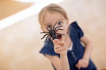 Girl holding fake spider