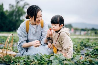 https://cf.ltkcdn.net/family/images/slide/280094-850x566-picking-berries.jpg