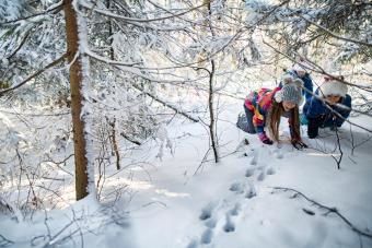 Kids tracking animal prints in winter forest