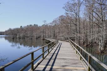 https://cf.ltkcdn.net/family/images/slide/314982-850x566-wall-doxey-state-park.jpeg