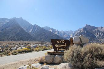 Entering Inyo National Forest