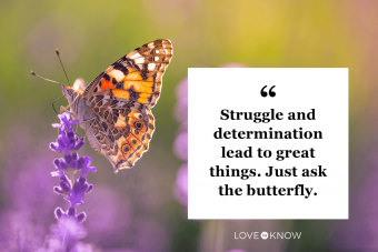 Butterflies And Life Quotes