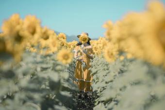 Young Woman Standing In Sunflower Field