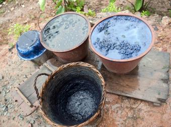 Indigo pots