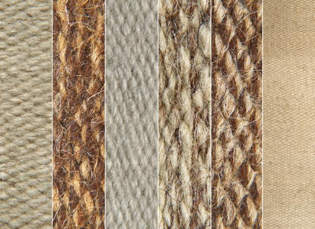 camel wools
