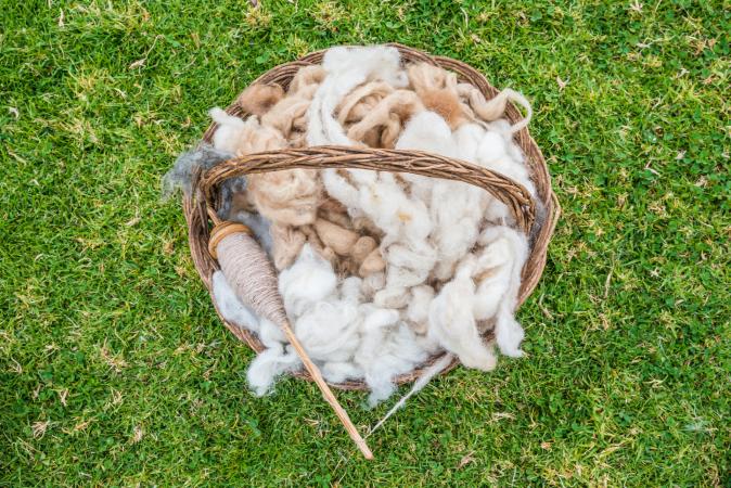 alpaca wool