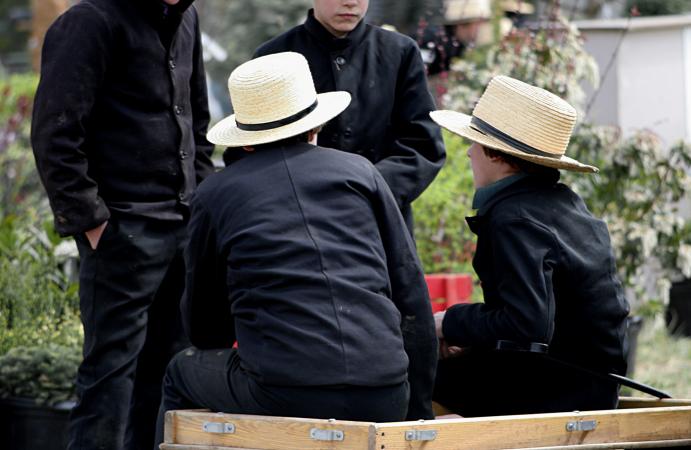 Amish boys