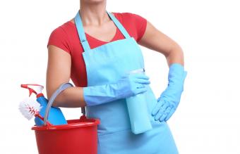 Housewife with Bucket of Cleaning Supplies in Apron