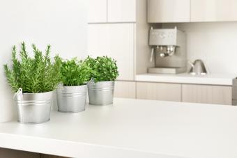 Potted Plants On Kitchen Island At Home