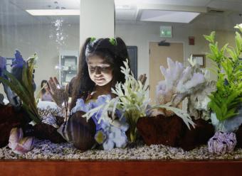 Aquarium in a waiting room