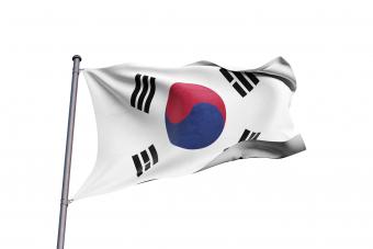 South Korea's flag