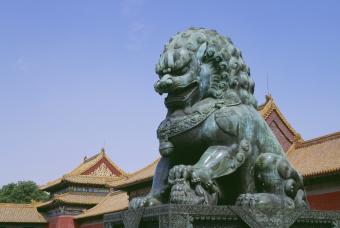 foo foo dog