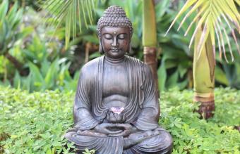 Buddha Statue for Home Decor: How to Choose & Where to Display Them