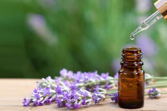 Essential lavender oil in bottle with dropper