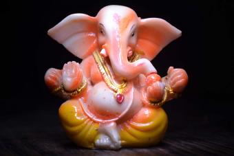 ganesh in home office setting