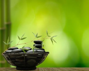 Bowl of stones and small branch for Feng Shui