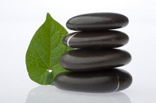 rocks and leaf