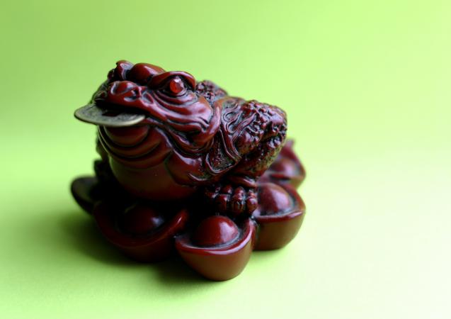 Money frog