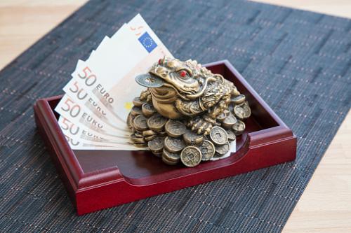 Grenouille d'argent et euro