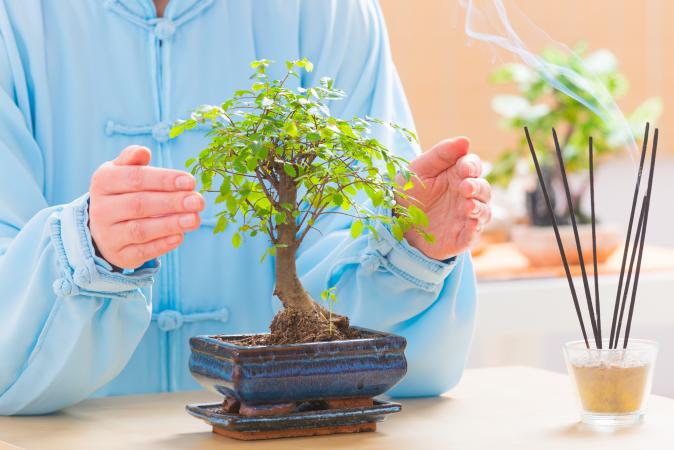 Reiki and feng shui combined