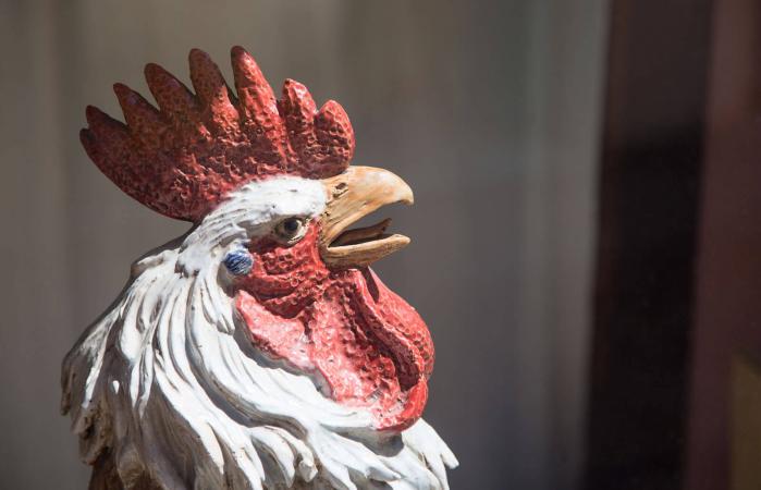 Rooster Statue