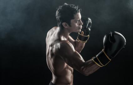 Boxer training