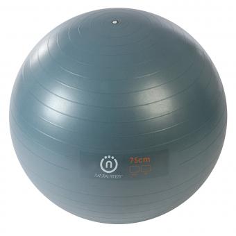 Natural Fitness Burst Resistant Exercise Ball