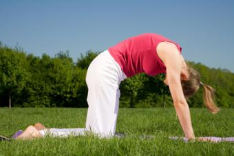 cat pose in yoga