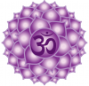 Chakra 7