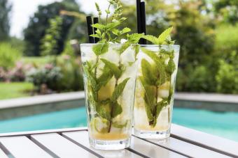 https://cf.ltkcdn.net/food-drink/meal-ideas/images/slide/339647-850x566-virgin-mojito-585856703.jpg