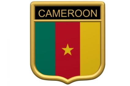 Cameroon flag