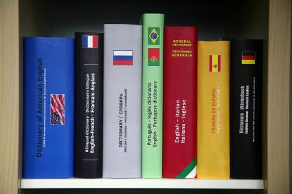 Foreign Language Dictionaries