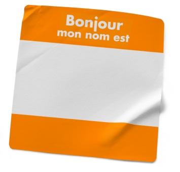 Introductory French