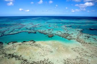 The Great Barrier Reef