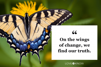 Sweet Butterfly Quote to Honor Your Metamorphosis